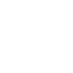 Доставленные автомобили
